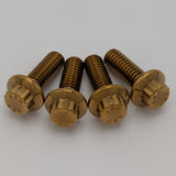 CVO ST Front Fender Bolt Kit