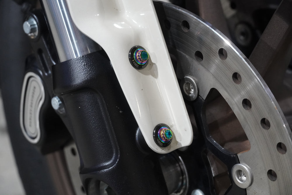 ARP 12 Point - HD M8 Softail S & ST Front Fender Bolt Set