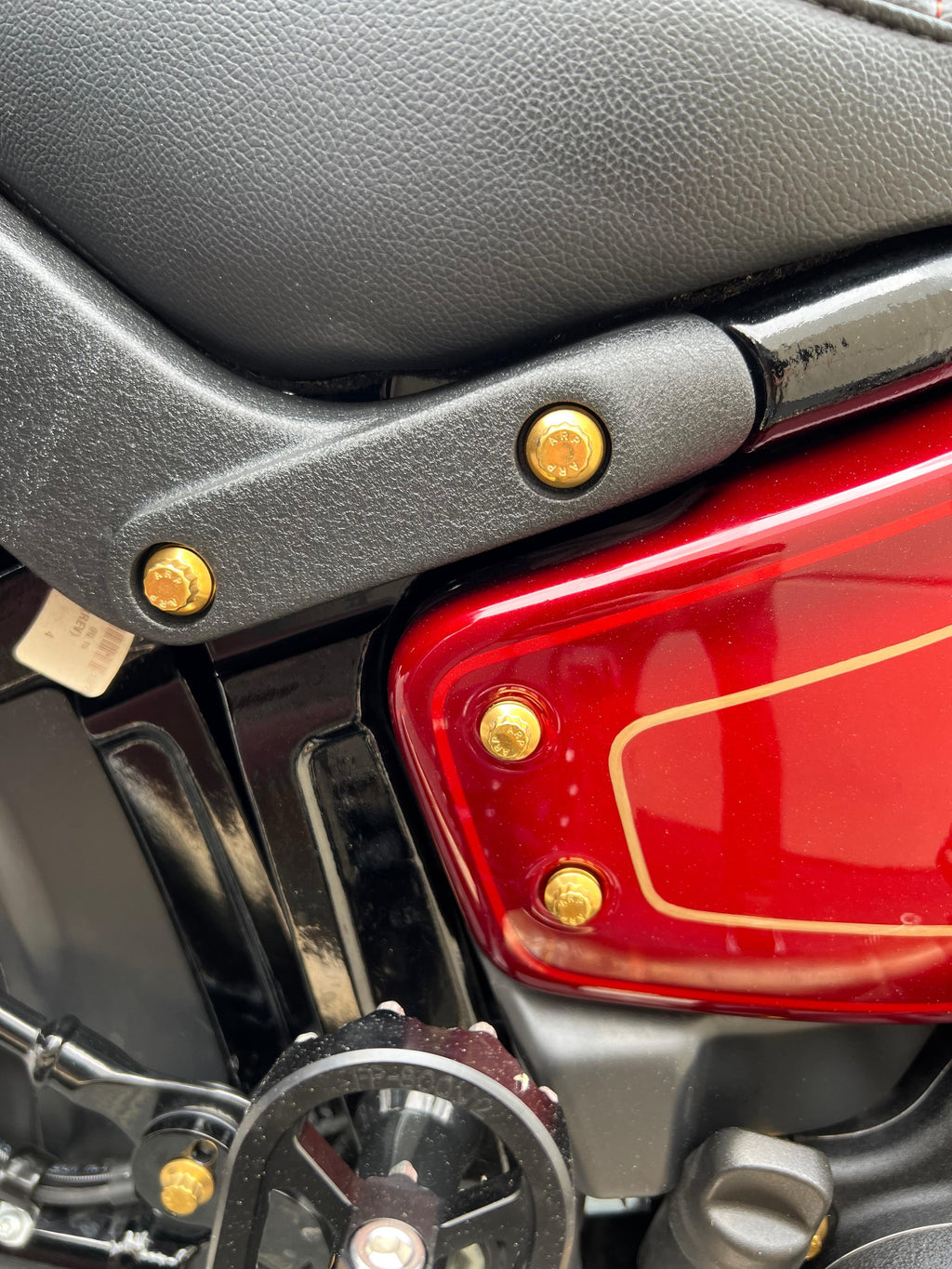 ARP 12 Point - HD M8 Softail Struts Bolt Kit β Diamond Lane Cycles