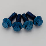 CVO ST Front Fender Bolt Kit