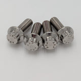 CVO ST Front Fender Bolt Kit